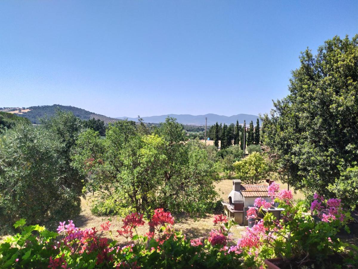 Agriturismo San Giorgino Grosseto Exterior foto